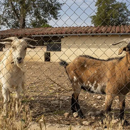 Torre Forcheron בית חווה *